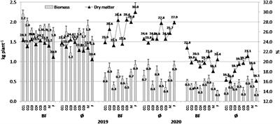 Combined effect of cover crops and bio-fertilizer on sustainable popcorn maize production